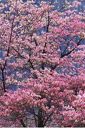 《Mechaknights Legends》Steam上线 巨型机甲战斗